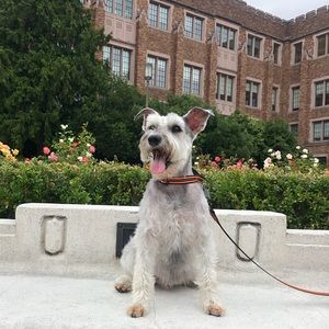 Meet your Posher, Sean